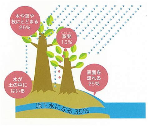 涵養水源的意思